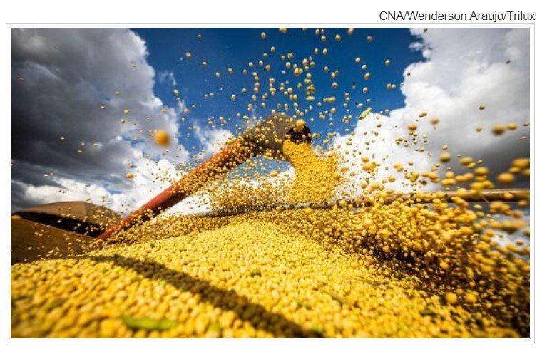 Mato Grosso desbanca Argentina e se torna 3º maior produtor global de soja