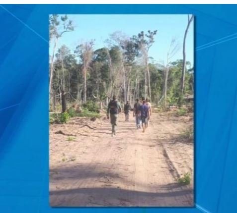 Ibama identifica área de desmatamento e prende 8 durante operação em Cláudia e Nova Santa Helena