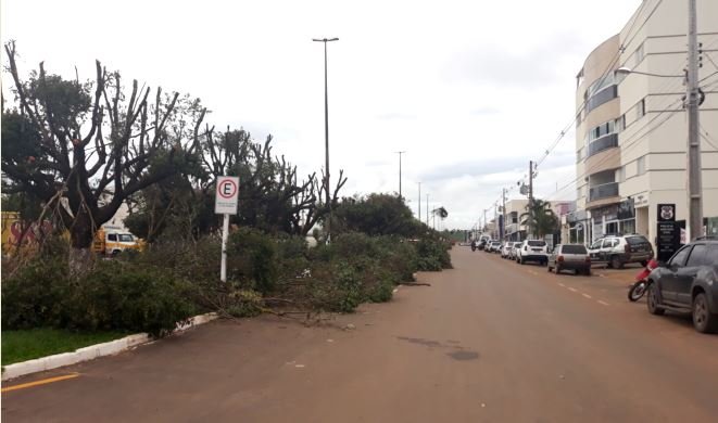 Povo de Colíder agradece a administração pelas podas de árvores da Tancredo. (Fotos)