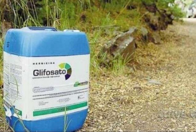 Anvisa propõe manter aval a glifosato, mas com restrições
