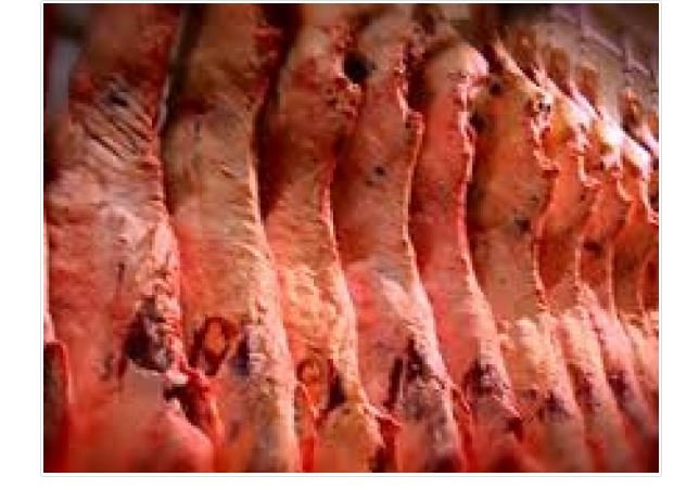 Preço dos cortes de carne bovina sobe 4% em MT após greve dos caminhoneiros