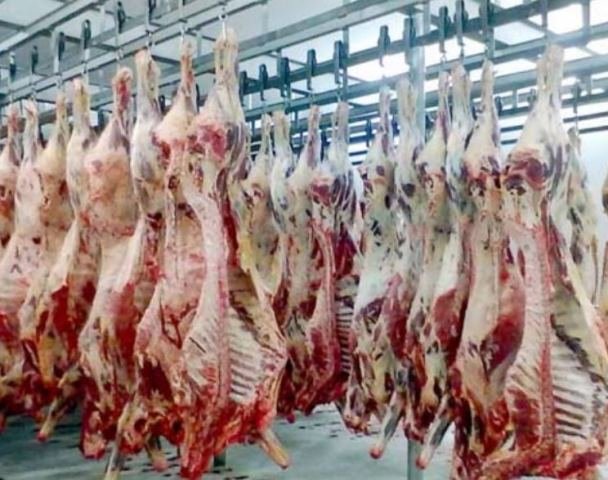 Mato Grosso assume liderança nos envios de carne bovina