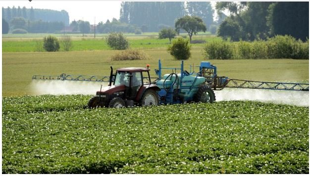 Justiça francesa reconhece primeiro caso de Parkinson causado por pesticidas