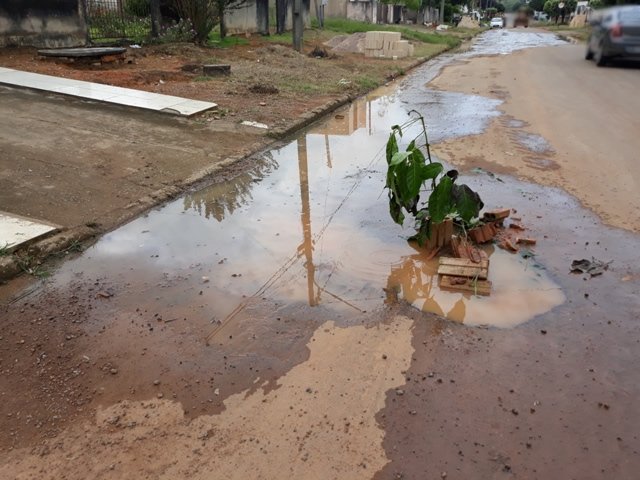 Moradores da área central de Colíder plantam arvore em buracos. (Fotos)