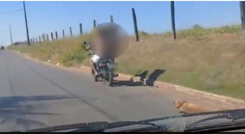 Homem é flagrado arrastando cachorro em motocicleta em Sorriso; veja o vídeo