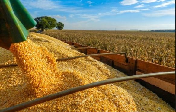 Oferta mato-grossense deve crescer duas vezes mais que a nacional