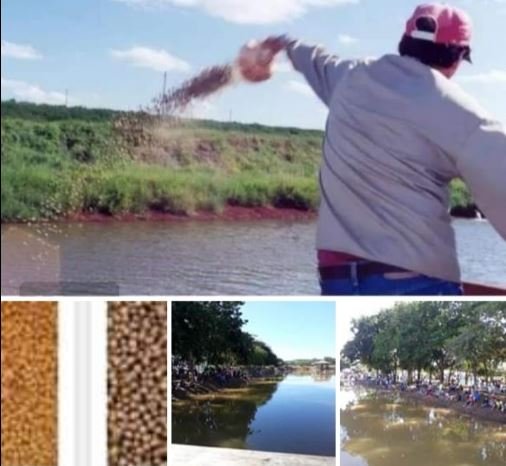 Colíder vira MEMES de piadas na internet depois da 1ª Pesca liberada no Lago.