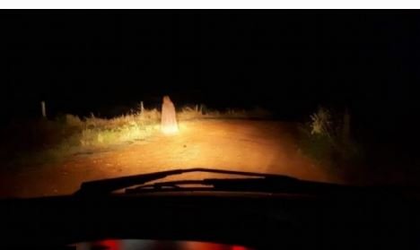 Imagens de suposto "fantasma" em Brasnorte-MT assusta motoristas