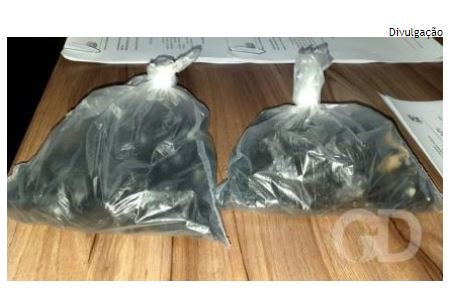 Quatro mulheres são presas com drogas escondidas na genitália