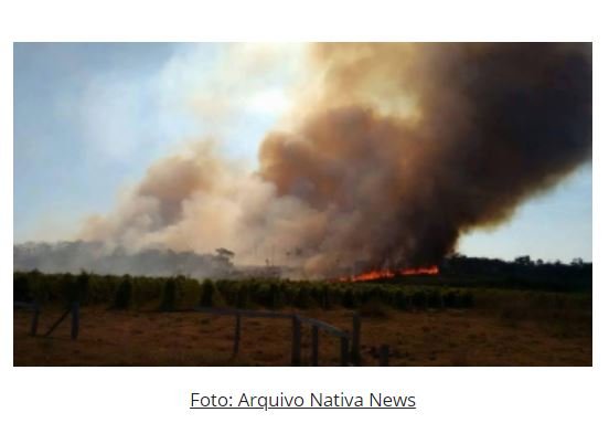 Alta Floresta: Focos de incêndios já ultrapassam os 100 mil reais de multa em menos de 45 dias