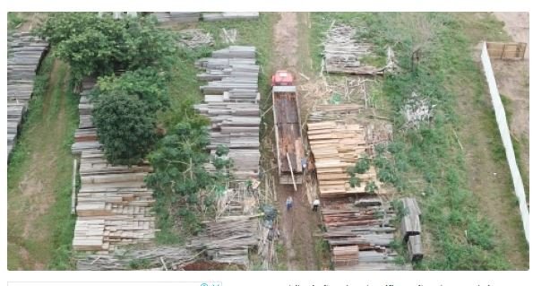 Sema passa a ser responsável pela classificação da madeira em Mato Grosso