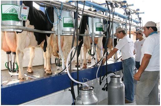 Isenção de IPI para equipamentos usados na produção de leite é aprovada na Comissão de Agricultura