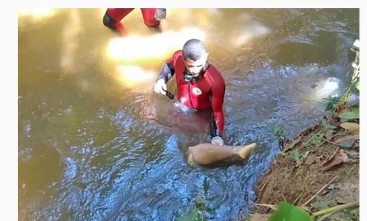 Bombeiros encontram dentro do rio, membros de homem morto e esquartejado em Porto dos Gaúchos.(Fotos)