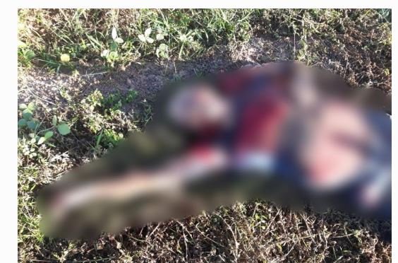 Homem é encontrado morto a golpes de faca em Terra Nova do Norte