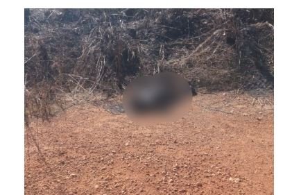 Corpo carbonizado pode ser de jovem de 20 anos que estava desaparecidos há 3 dias em MT