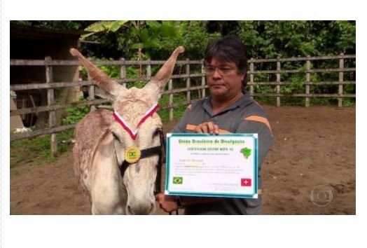 PAGOU, GANHOU 19 prefeitos de MT têm mesmo prêmio do "Jumento do Fantástico"