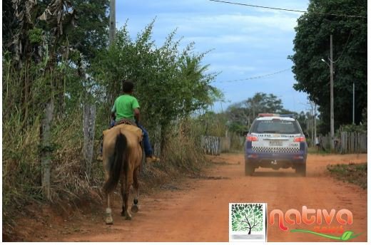 Homem é preso após efetuar disparos contra família em propriedade rural
