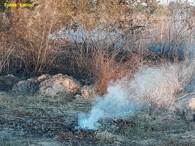 Bombeiros de Colíder apagam queimada em loteamento irregular. (Fotos)