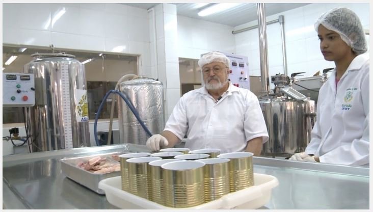 Projeto da UFMT lança "pacu enlatado" para concorrer com sardinha e valorizar produção de peixes de água doce