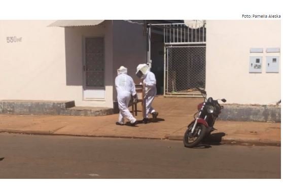 Polícia isola Centro de cidade em Mato Grosso após ataque de enxame de abelhas