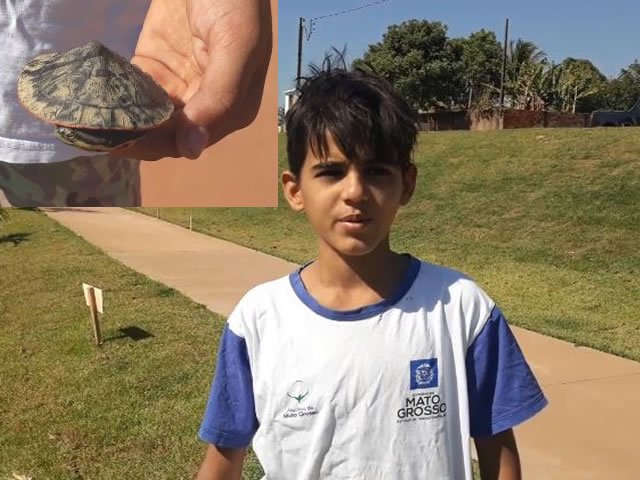 Criança acha tartaruga aquática no centro de Colíder e a solta no Lago dos Pioneiros. (Vídeo)