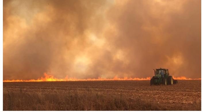Mato Grosso já teve 13 mil focos de incêndios neste ano; 3 mil em uma semana