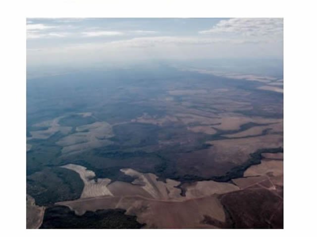 Imazon mostra que MT foi Estado da Amazônia Legal com menor desmatamento