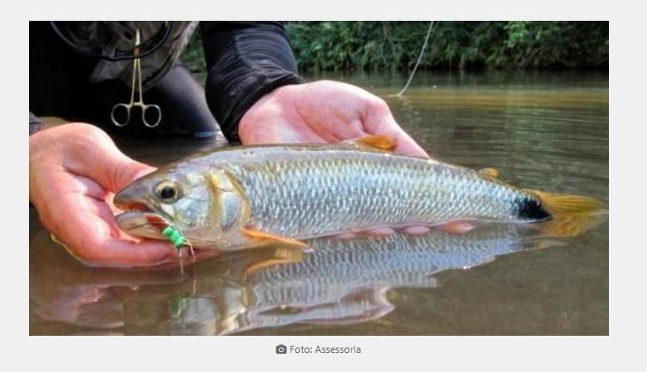 5 anos sem pescar nada em Mato Grosso