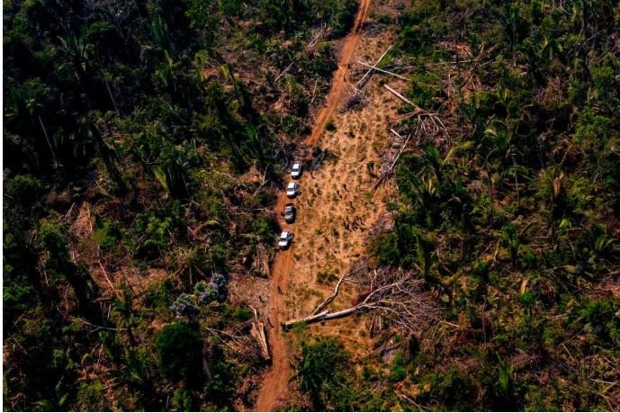Estado adota ‘tolerância zero’ e força tarefa embarga quase 11 mil hectares por desmatamento ilegal
