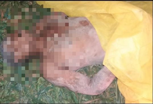 Homem é morto a facadas pela própria companheira em Moraes Almeida