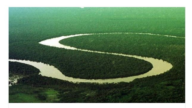 Cuidado com o interesse estrangeiro pela Amazônia