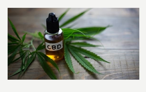 Justiça de RO libera o cultivo de maconha para casal tratar filha com autismo e epilepsia