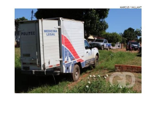 Tronco de árvore cai e mata homem durante o trabalho