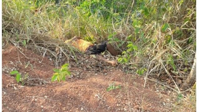 Mulher encontra corpos em estado de decomposição em canavial em Mirassol D’Oeste