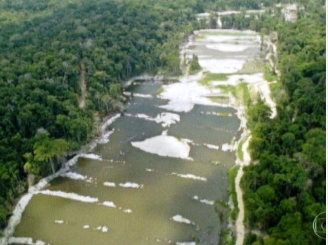Garimpo ilegal está desmatando e contaminando rio em terra indígena no Pará, diz Greenpeace