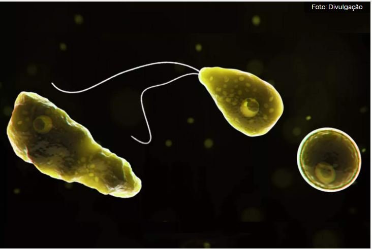 Ameba COMEDORA DE CEREBRO que matou menina pode ser encontrada no Brasil
