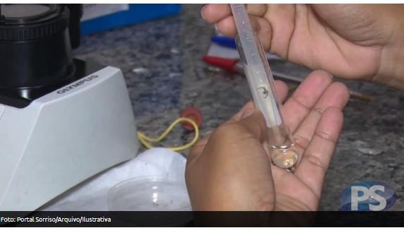 Em MT, taxa de óbito por dengue é 2 vezes maior que a nacional