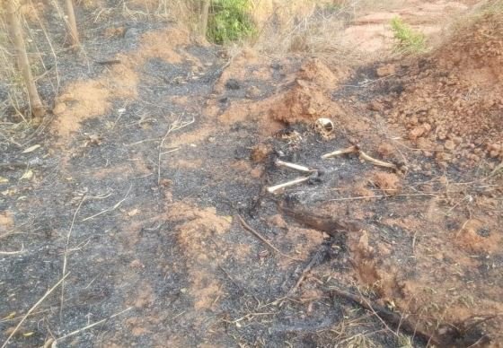 Corpo de Bombeiros encontra ossada humana