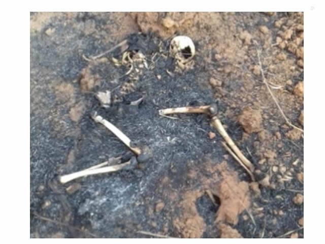 Três famílias fazem exames de DNA para identificar ossada achada em mata incendiada em Sorriso