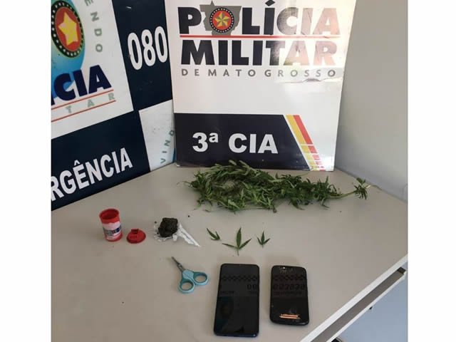 PM apreende vários pés de maconha e dois suspeitos por posse de entorpecentes. (Fotos)