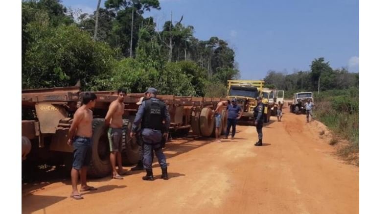 PM prende quadrilha por furto de madeira em área de preservação ambiental