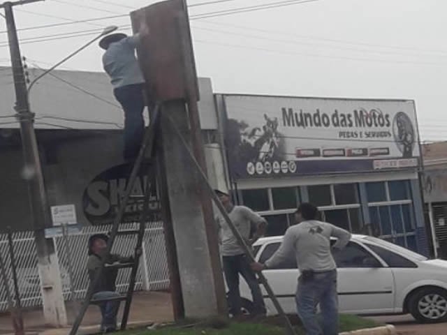 Ninho de araras no centro de Colíder vira polemica. (Vídeo)