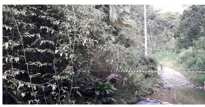 Homem vai ajudar funcionários de empresa de energia elétrica e morre eletrocutado
