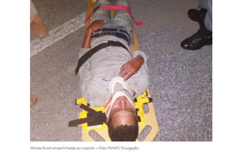 Motociclista e passageiro ficam feridos após moto atropelar tamanduá em MT; animal morreu