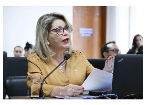 Senadora Selma denuncia abusos em reintegração de posse de terreno ocupado por produtores familiares