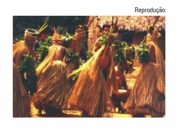 Liminar garante demarcação de terra indígena em Paranaíta e Planalto da Serra
