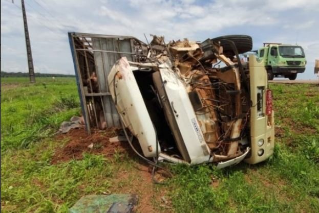 BR-163: carreta carregada com suínos tomba após bater contra carreta que transportava adubo