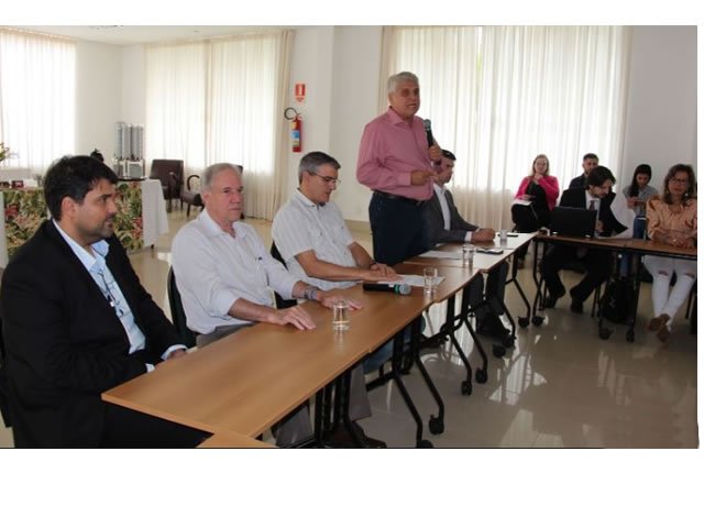 Áreas úmidas sofrem com desmatamento e lançamento de efluentes