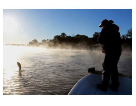 AL descarta proibir pesca e sugere rodízio e repovoamento dos rios de MT