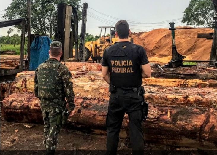 PF prende índios e madeireiros por esquema de extração de aroeira em MT